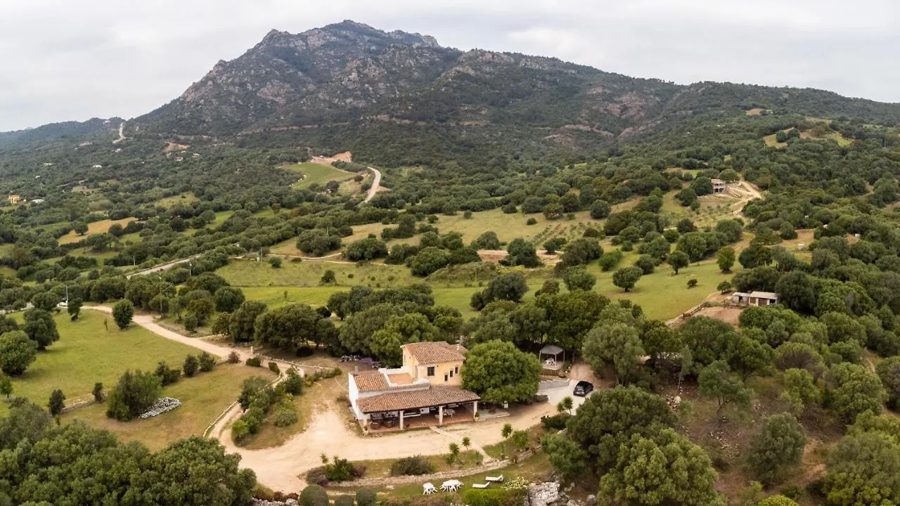 Antica Caresi B&B Olbia Oda ve Kahvaltı