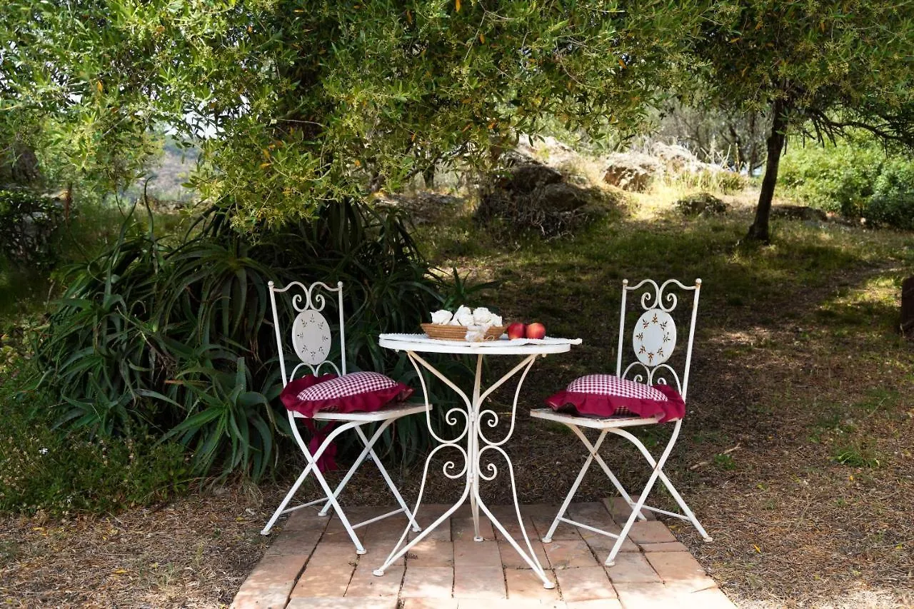 Antica Caresi B&B Olbia Oda ve Kahvaltı